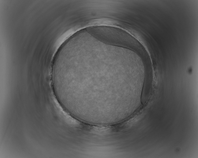 X0000116580997200912312011