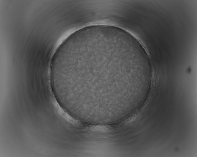 X0000116580998200912312011