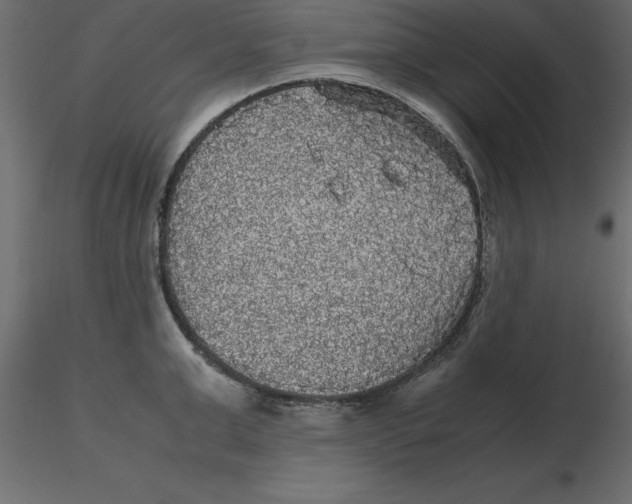 X0000116580999200912312011