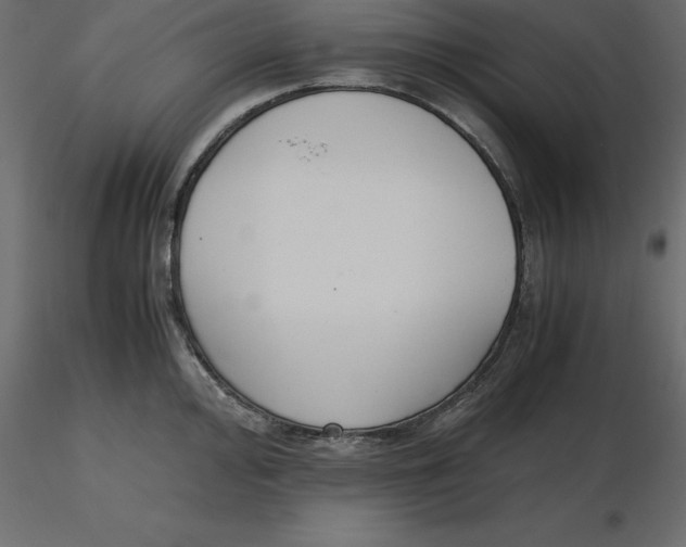 X0000116581000200912312011