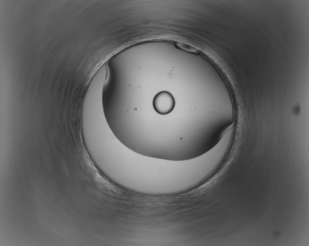 X0000116581001200912312011