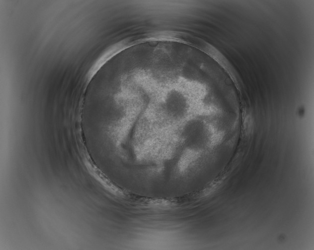 X0000116581002200912312011