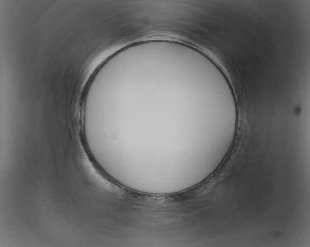 X0000116581003200912312010