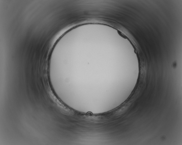 X0000116581004200912312010