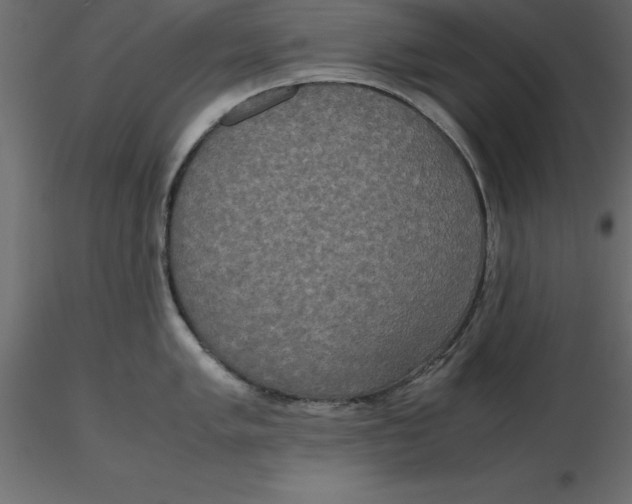 X0000116581005200912312010