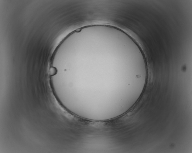 X0000116581006200912312010