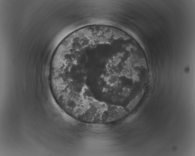 X0000116581007200912312010