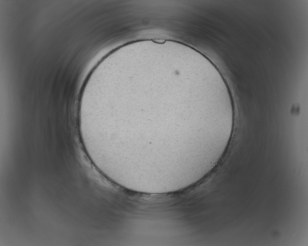 X0000116581008200912312010