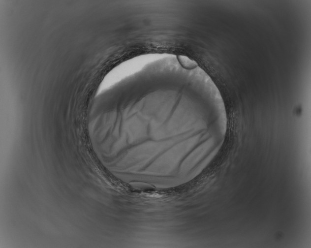 X0000116581009200912312010