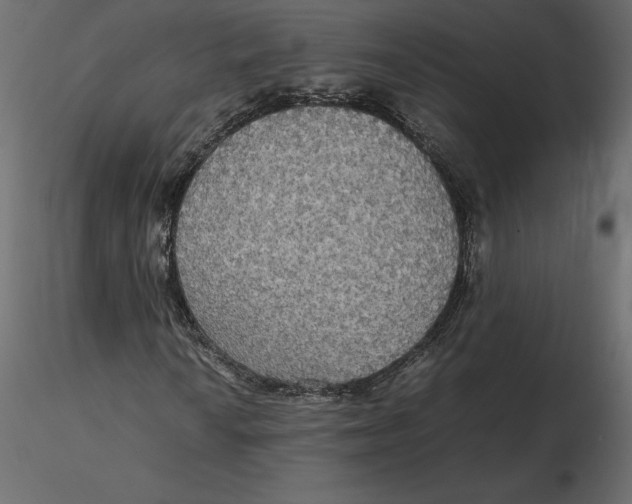 X0000116581010200912312010