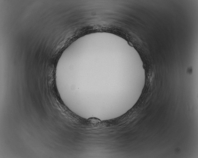 X0000116581012200912312010