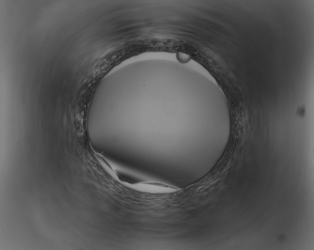 X0000116581013200912312010