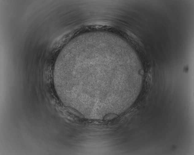 X0000116581014200912312010