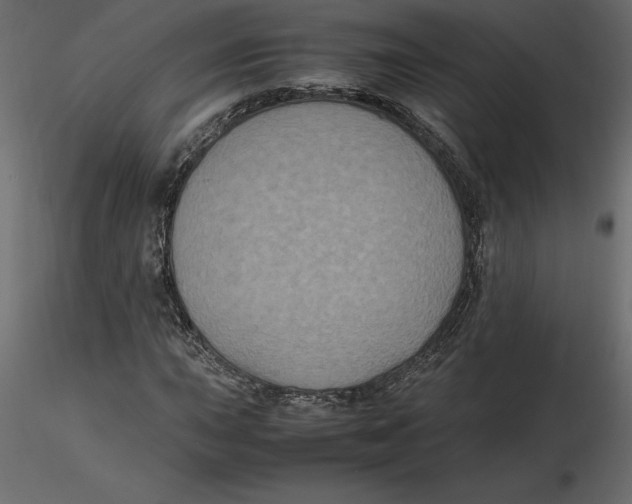 X0000116581015200912312010