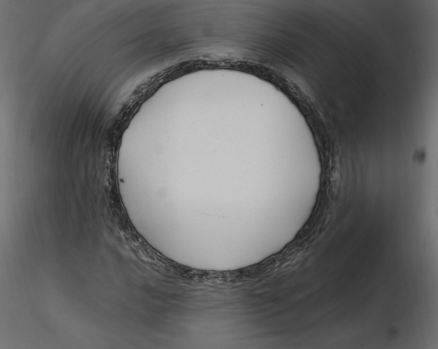 X0000116581016200912312010