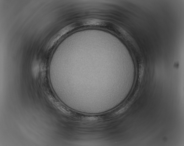 X0000116581017200912312010