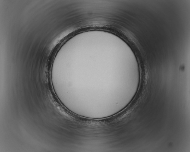 X0000116581018200912312010