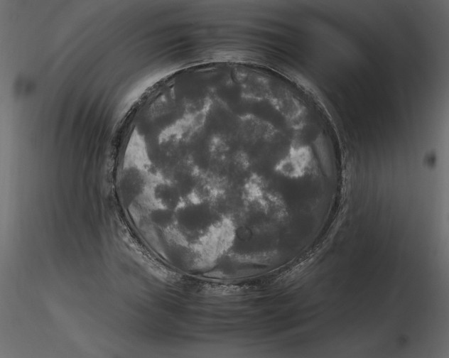 X0000116581019200912312010