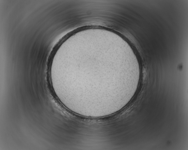 X0000116581020200912312010