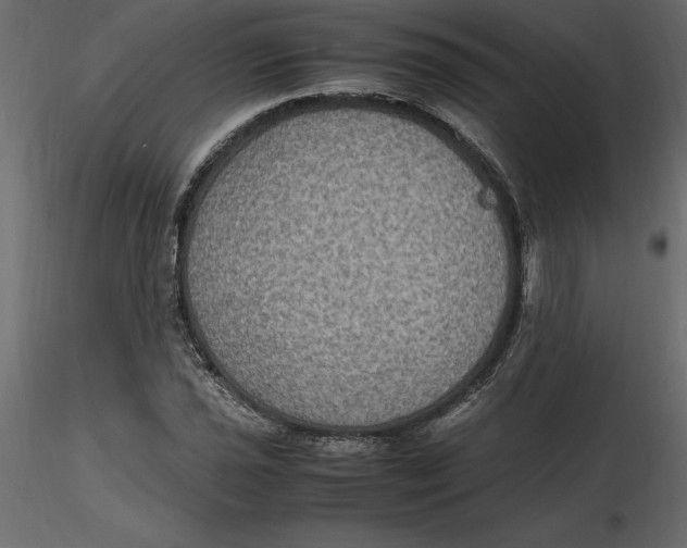 X0000116581021200912312010