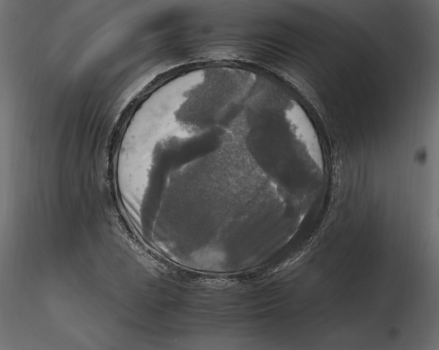 X0000116581023200912312010