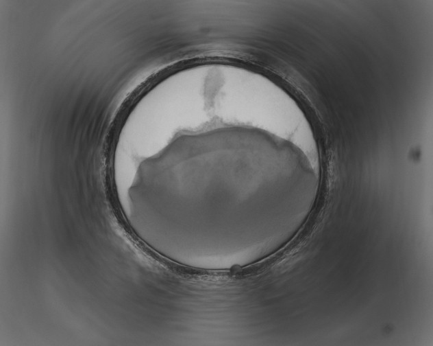 X0000116581024200912312010