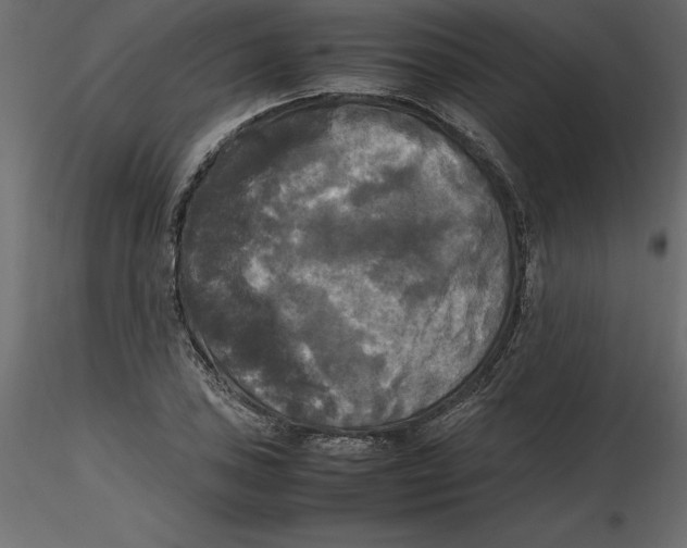 X0000116581027200912312010