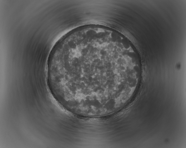 X0000116581028200912312010