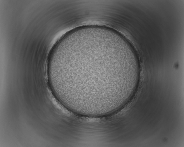 X0000116581030200912312010