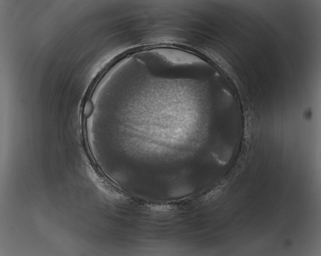 X0000116581031200912312010