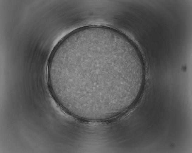 X0000116581032200912312010