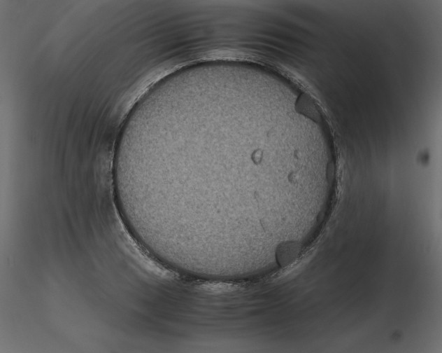 X0000116581033200912312010