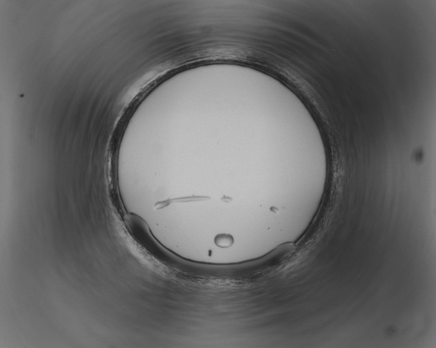 X0000116581034200912312010