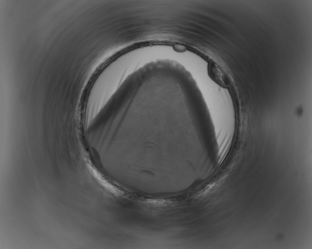 X0000116581037200912312010