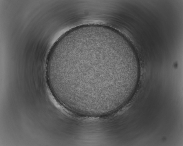 X0000116581038200912312010