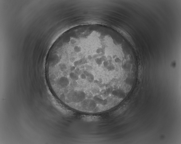 X0000116581039200912312010