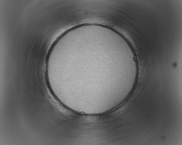 X0000116581040200912312010