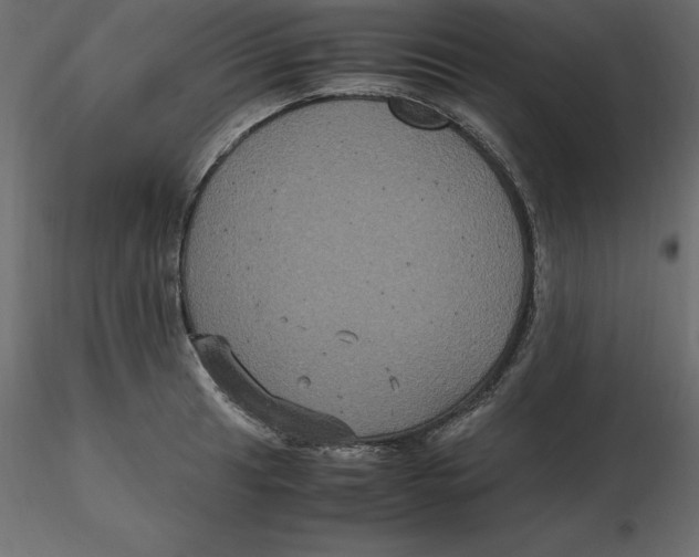 X0000116581041200912312010