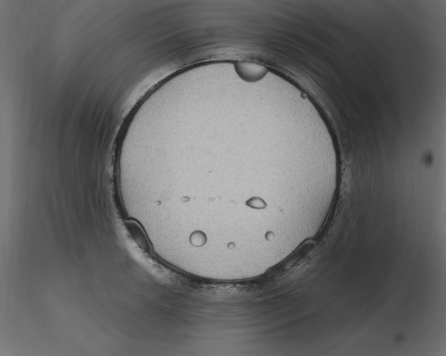 X0000116581042200912312010