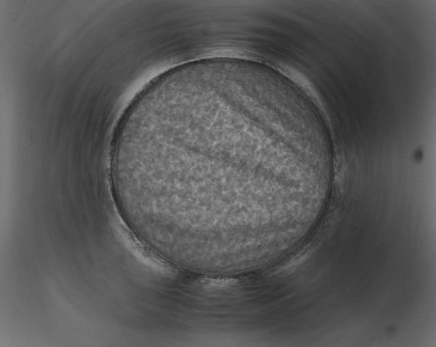 X0000116581043200912312010