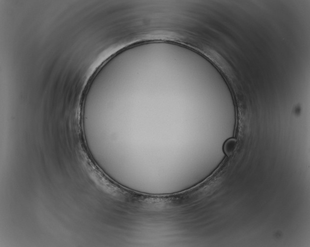 X0000116581044200912312010