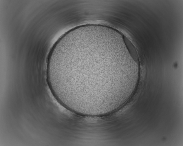 X0000116581046200912312010