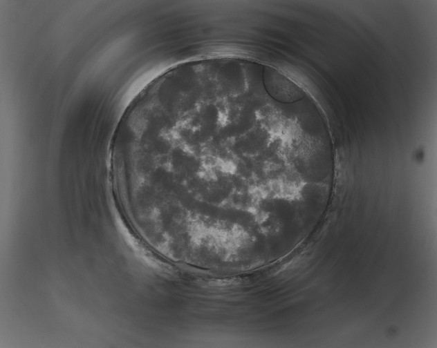 X0000116581047200912312010