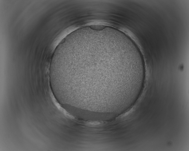 X0000116581049200912312010