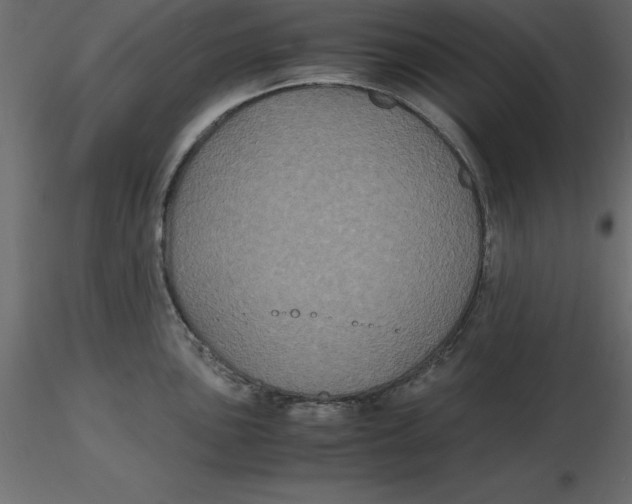 X0000116581051200912312010