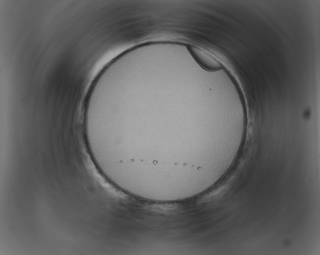 X0000116581053200912312010