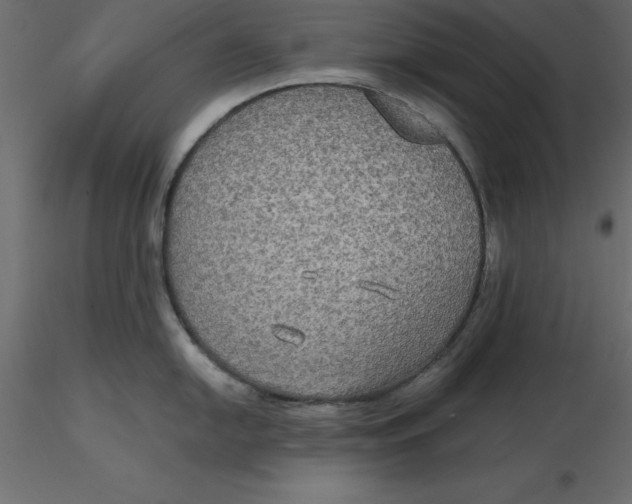 X0000116581054200912312010