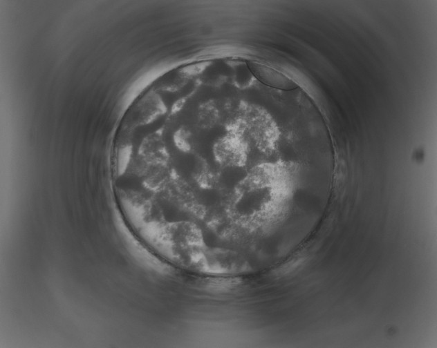 X0000116581055200912312010