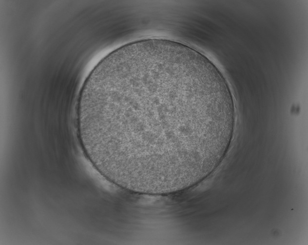 X0000116581056200912312010