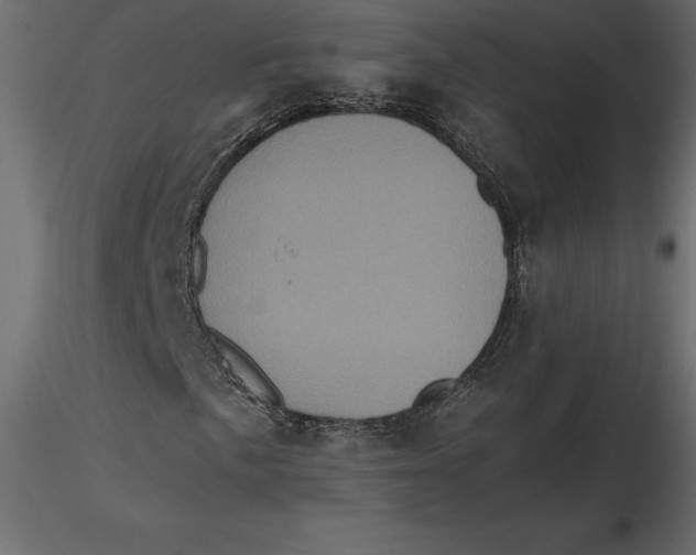 X0000116581057200912312010